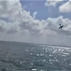 Illustration for article titled Gender-Reveal Flyby Turns Tragic When Plane Crashes Into Sea